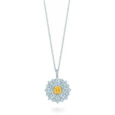 Colier Tiffany Co. Schlumberger cu margarete